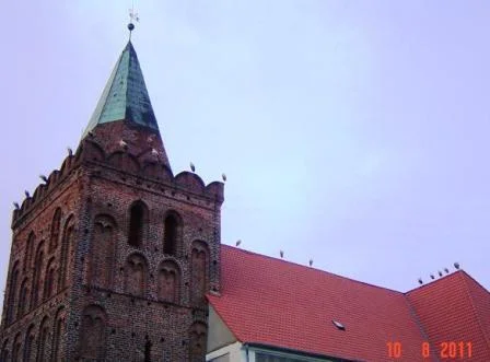 Zdjęcie z galerii